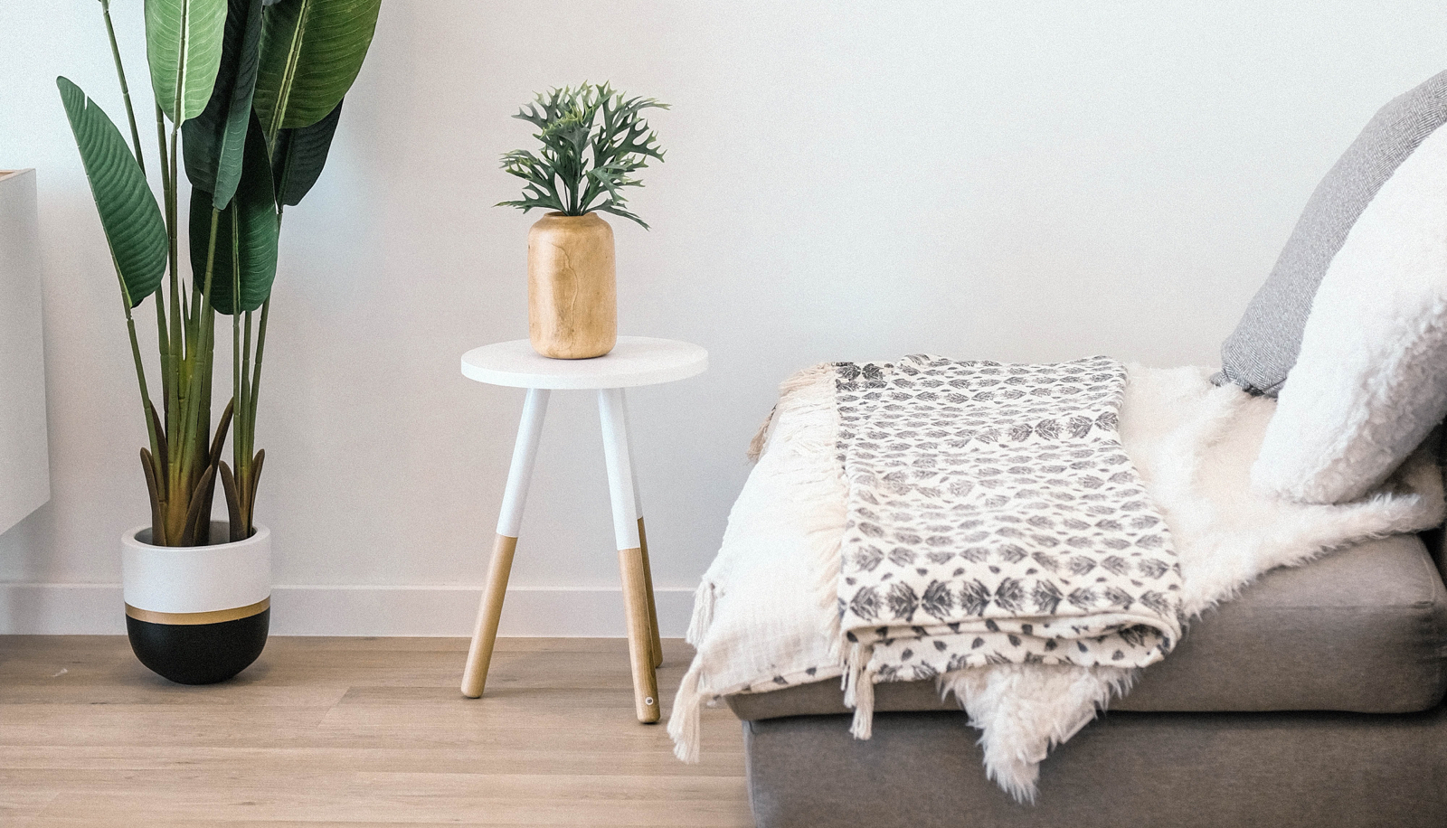 planten, interieur, wit