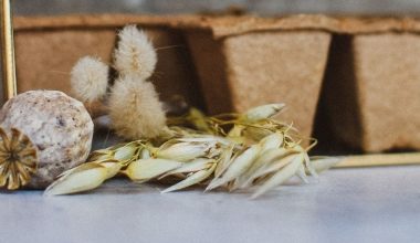 Albert Heijn moestuintjes