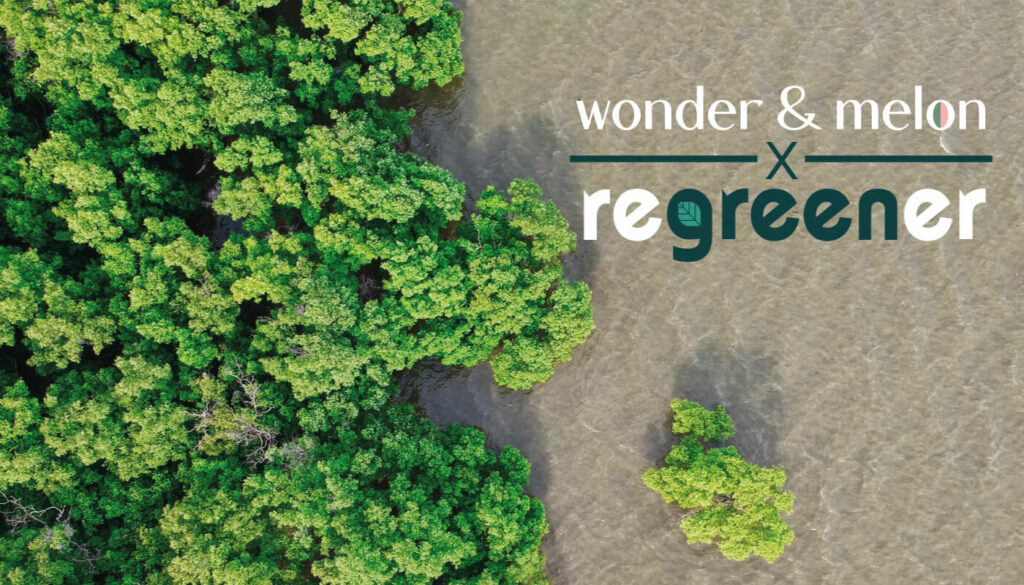 Plant een boom namens wonder & melon met Regreener! 34